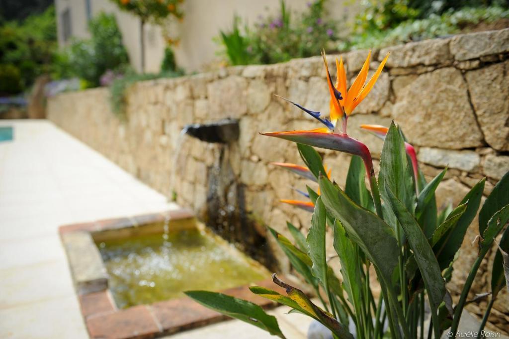 Cas'anna Lidia - De Charme Hotel 4*
